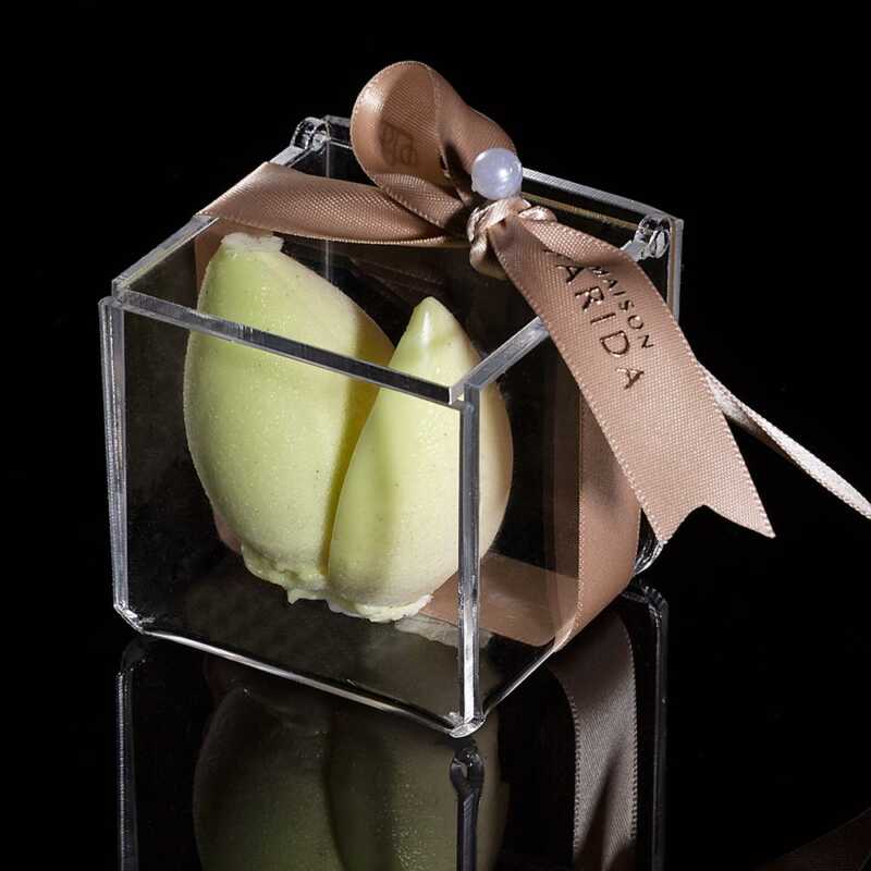 La fleur de Sambac