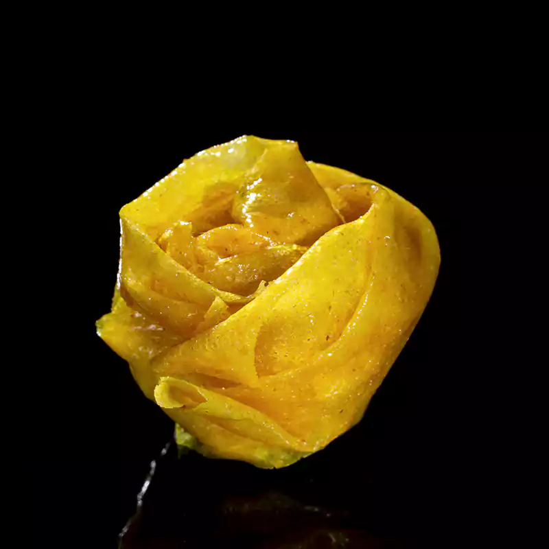 Bouton de rose 4 Bouton de rose