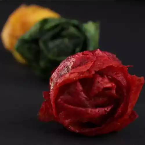 Bouton de rose