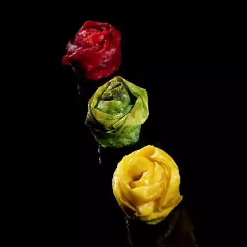 Bouton de rose