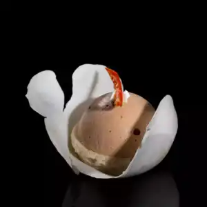 Mac dôme