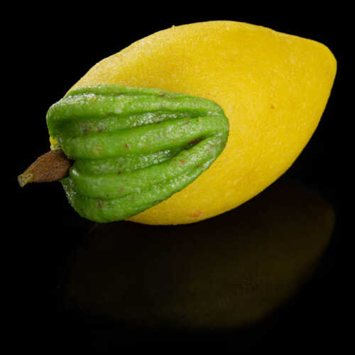 Citron