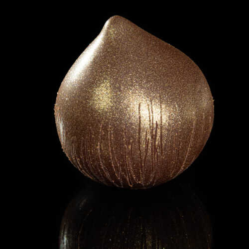 Noisette
