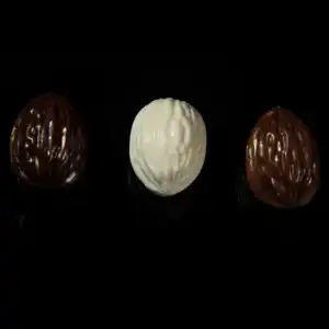 546A3580-Modifier copie