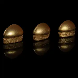 546A3694-Modifier copie